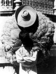 Campesino, Stato di Veracruz, Messico, 1927